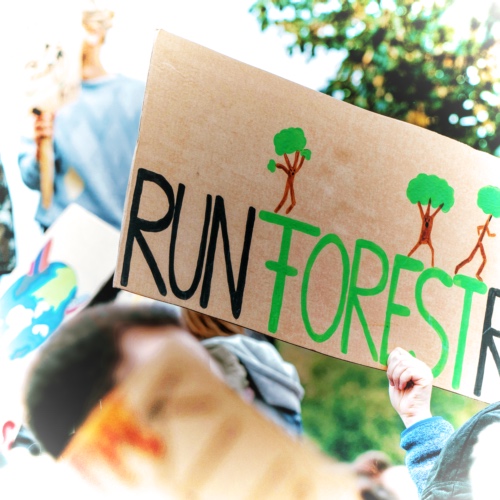  A foto of a protest, you see a person raising a sign. The sign says: Run Forrest Run. 